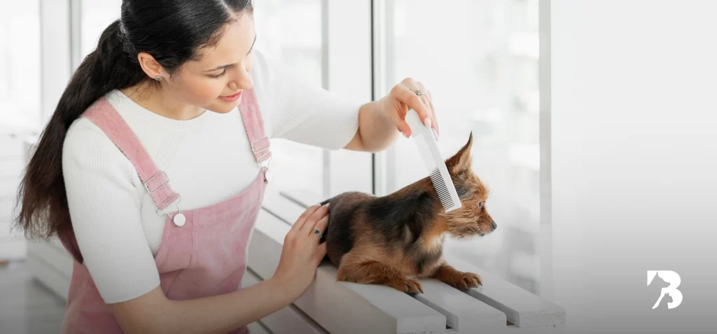 El secreto para un pelaje sin enredos: la importancia del cepillado en los perros