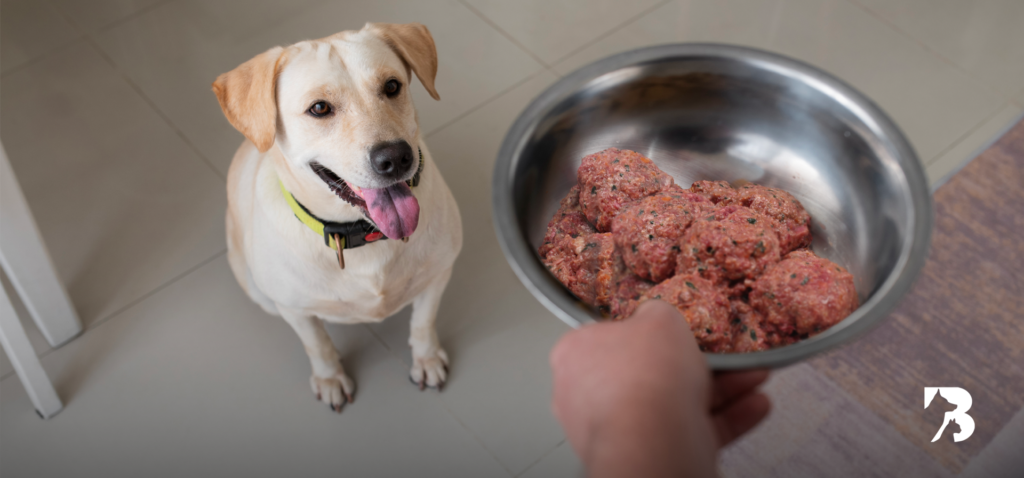 Vemos en la imagen a un perro esperando comer su Barf de codorniz.