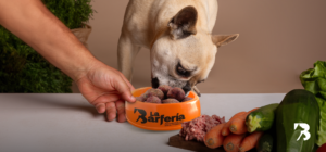 Vemos a un perro comiendo el Barf de Pavo.