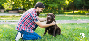 Vemos a una persona acariciando a su perro.