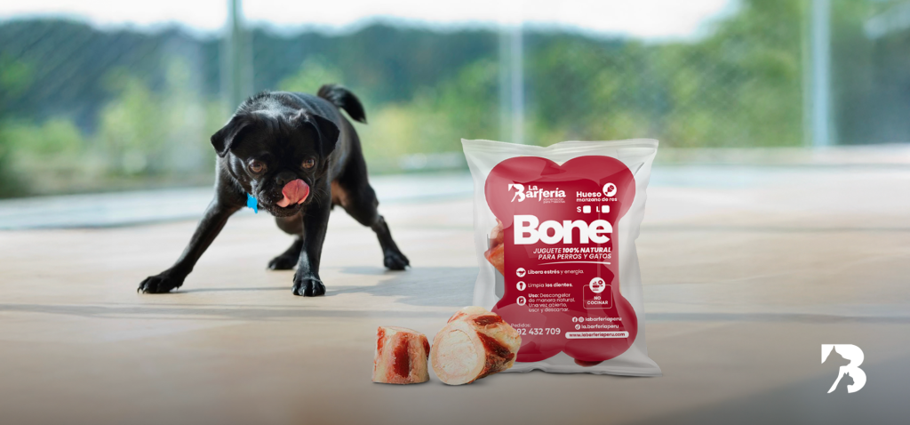 bones para perros