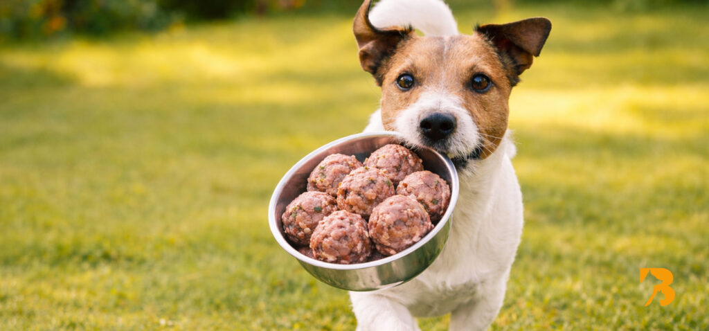 plato de alimento BARF con diferentes proteínas naturales para perros como pollo, res y pescado
