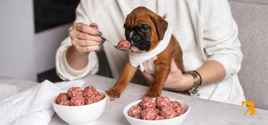 perro comiendo porciones de comida diaria