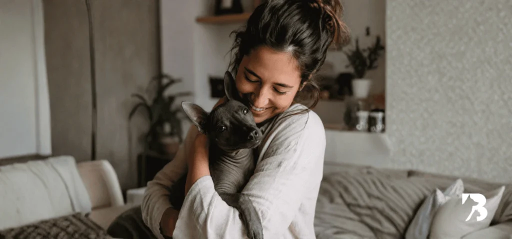 Perro peruano sin pelo recibiendo cuidados y alimentación natural