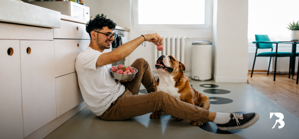 Hombre alimentando a su perro con dieta BARF para perros en casa con comida natural