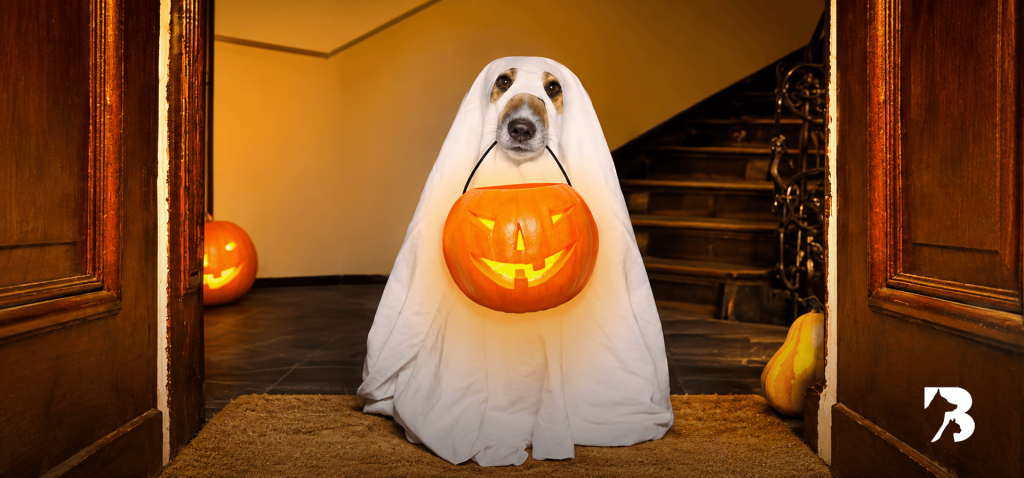 Perro disfrazado de fantasma en Halloween con una calabaza de dulces frente a la entrada de una casa.